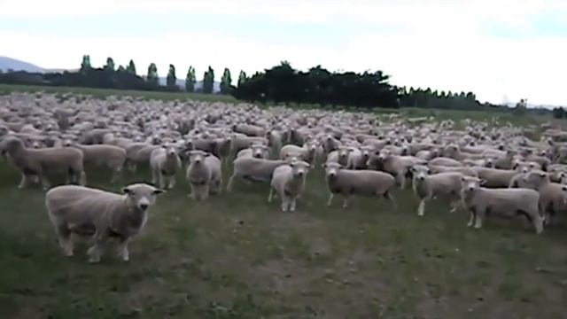 Роковой образовательный канал. Рок-урок!!!!! смотреть онлайн
