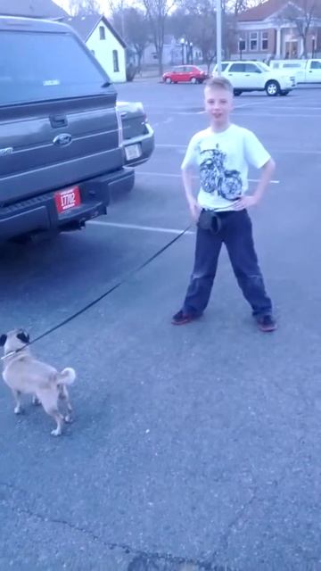 Belt Leash смотреть онлайн