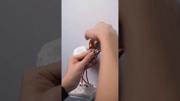 WiFi 2 Gang Dimmer Switch Module DIY Smart Light LED Dimmable Interruptor Relay