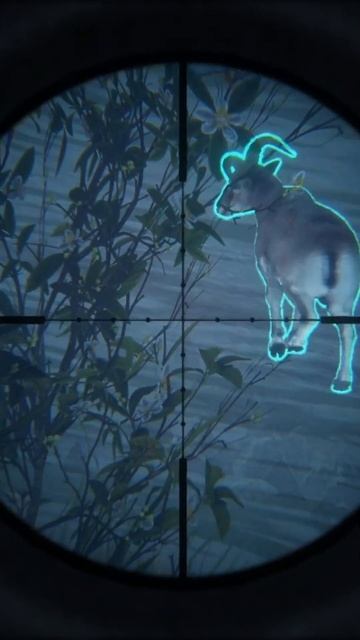 CRAZY Dancing Blue Sheep. #TheHunter: COTW. Shots Fired смотреть онлайн