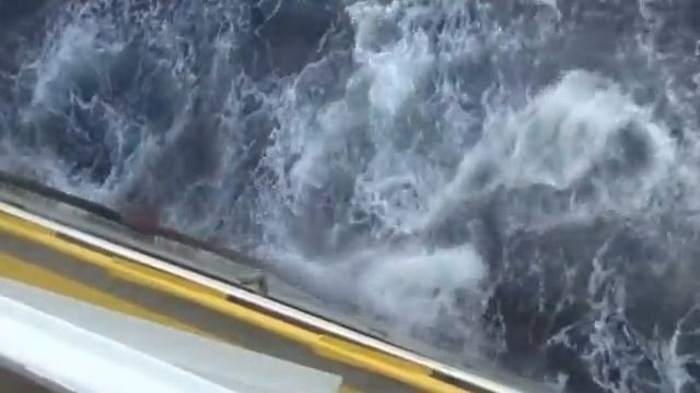 "Walking the Anaconda" смотреть онлайн