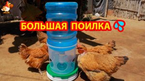 Большая автопоилка из ведра и бутыли 19 л для кур несушек 💦🐓😍
