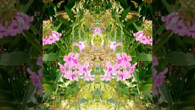 ЦВЕТЫ (ЦВЕТОЧНЫЕ УЗОРЫ)FLOWERS (FLOWER PATTERNS) смотреть онлайн