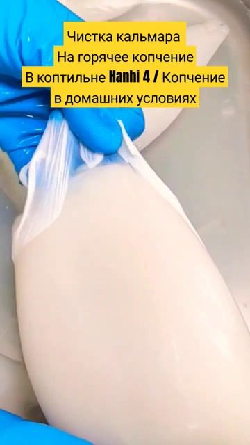Чистка кальмара На горячее копчениеВ коптильне Hanhi 4 / Копчение в домашних условиях / Кальмар смотреть онлайн