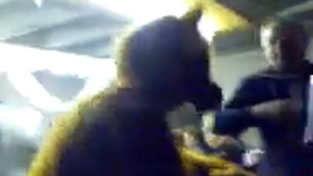 der Oktoberfest Bär ravet ab смотреть онлайн