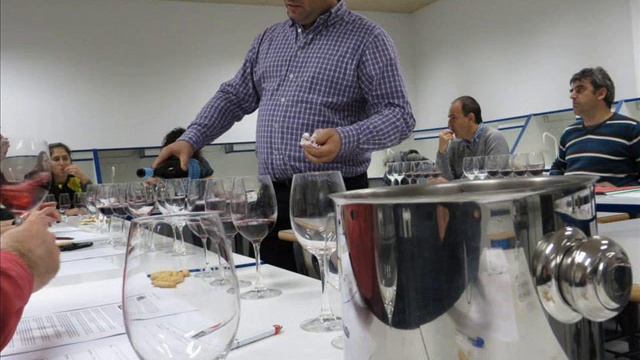 Catas de Vino de Variedades de Uva Españolas Monastrell y Boal смотреть онлайн