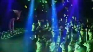 Дискотека у котов