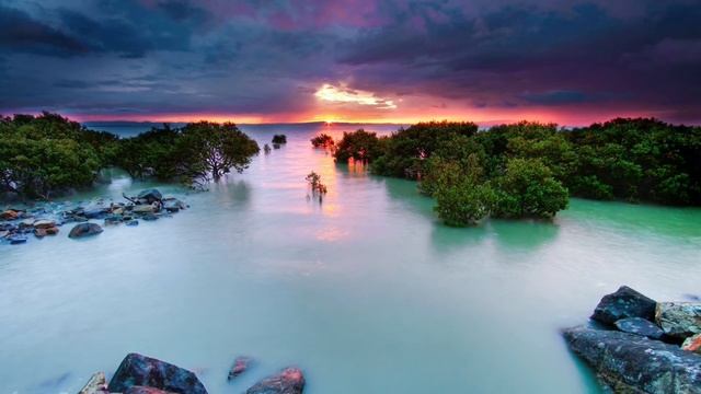 №315. Что держишь ты в руке Мое дитя. смотреть онлайн