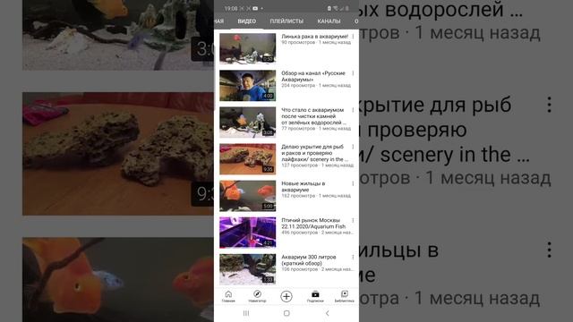 Подпишитесь на канал- Аквариумистика-Это просто ❤ смотреть онлайн