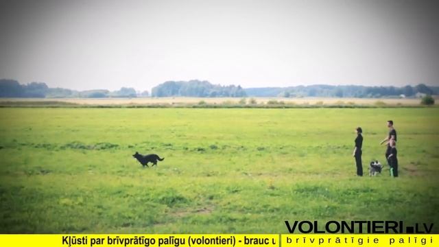 Volontieri apmeklē DzAB"Ķepu-Ķepā" | Волонтеры навещают ОЗЖ "Ķepu-Ķepā" /volontieri.lv/ смотреть онлайн