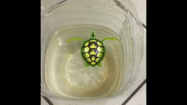 ROBO TURTLE LIFELIKE ROBOTIC TURTLE