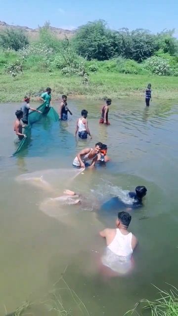 Small River in Fish Catching People #shorts In Saudi Arabia смотреть онлайн