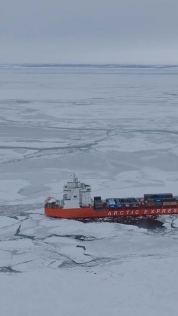 Уровень мимимишности зашкаливает смотреть онлайн