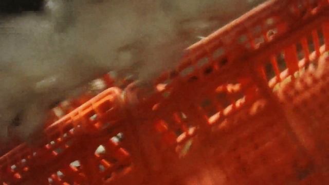 Hidden-Camera Exposes Criminal Animal Abuse at Chicken Slaughterhouse смотреть онлайн