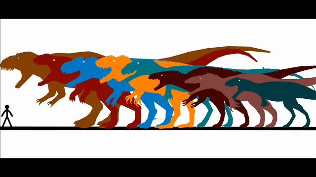 Carcharodontosauridae Size Comparison