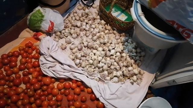 Жабы атакуют🌸Уничтожаем квартиру смотреть онлайн