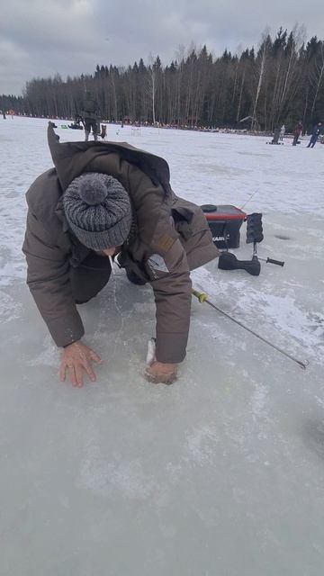 Сход форели и поимка гольца смотреть онлайн