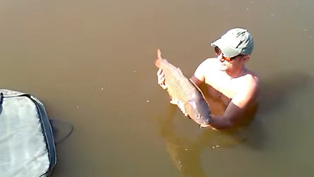 Карпа на свободу 6кг смотреть онлайн