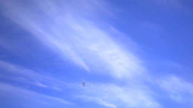 Бойные голуби КАЗАХСТАНА.Ладушки ладушки.Всем кто работает с голубями. смотреть онлайн