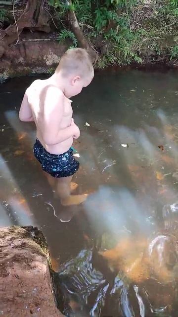 Кормление аквариумных рыбок смотреть онлайн