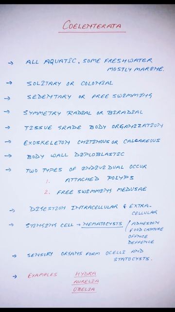 PHYLUM COELENTERATA смотреть онлайн