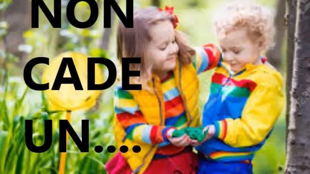 NON CADE UN PASSERO CON TESTO DI EFA смотреть онлайн