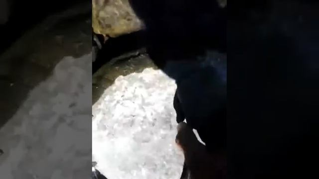 Prehistoric Mohawk Hatchet from NY state смотреть онлайн