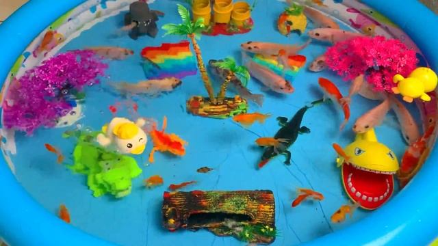 Cute Animals, Goldfish, Koi, Carp, Shark, Crocodile, Frog, Whale, Starfish, Clownfish, Turtle, Duck