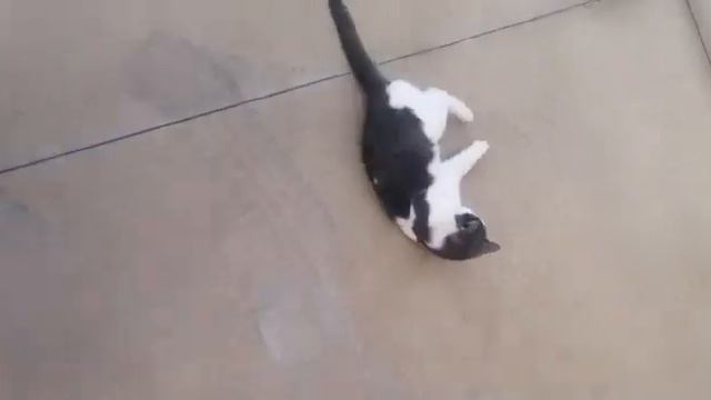 Ванечка!😊😻 смотреть онлайн