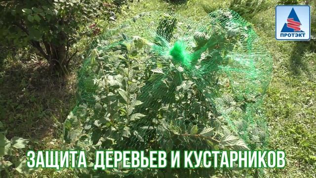 Сетка от птиц ЯГОДКА