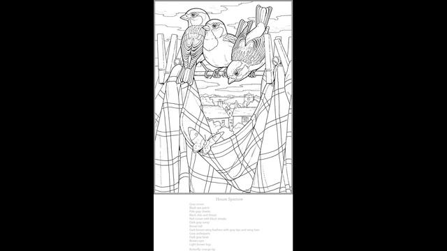 Freebie pictures from 'Creative Haven' books: wildflowers, birds, gardens #coloring #adultcoloring смотреть онлайн
