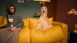 Музыка из рекламы Билайн - Шестеро на диване, не считая собаки (Россия) (2025)