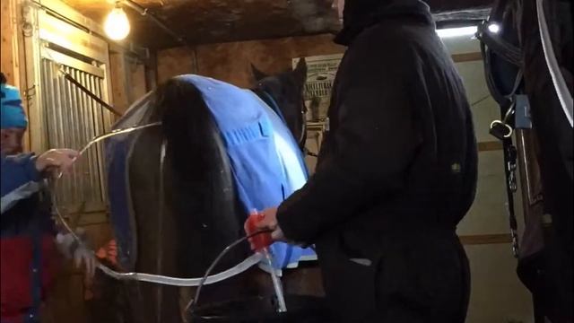 Continuous Learning Series - Administering Rectal Fluids смотреть онлайн