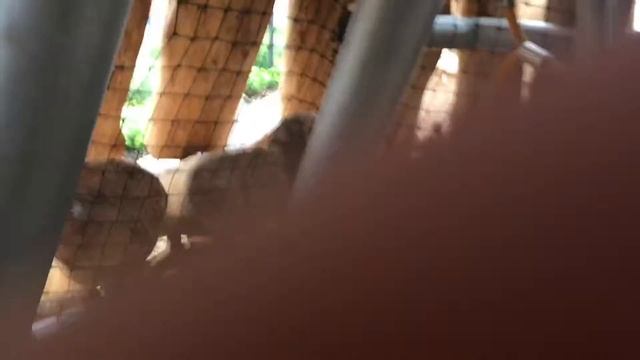 Покажу что внутри этой горки смотреть онлайн