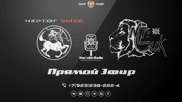 Радио Mr  Guk с Сергей Сергеичем канал Чертог Змея Прекрасный Гость #MrGukЧЕРТОГ