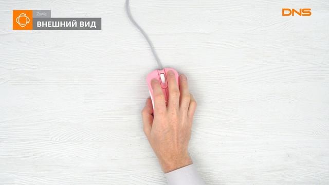 Распаковка мыши Zowie EC1-B DIVINA / Unboxing Zowie EC1-B DIVINA смотреть онлайн