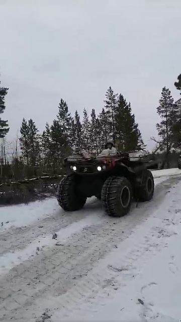 Не только наши клиенты довольны вездеходами ЗЭТ, но и собаки рады такому средству передвижения) смотреть онлайн