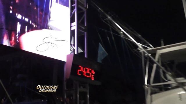 Outdoors Delmarva: 49th Annual White Marlin Open Complete Episode смотреть онлайн