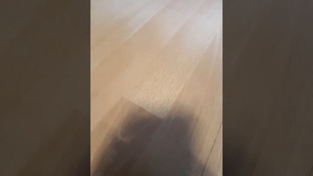 KLIPSCH SPL100 VS KLIPSCH R100SW BATTLE OF KLIPSCH