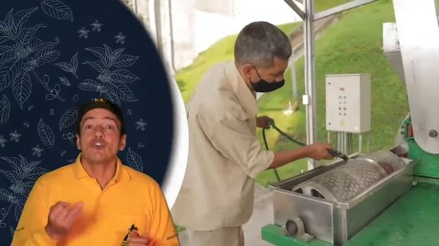 Tip del Profesor Yarumo - Calidad en el beneficio del café смотреть онлайн