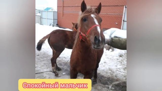 Ручки для малыша!! смотреть онлайн