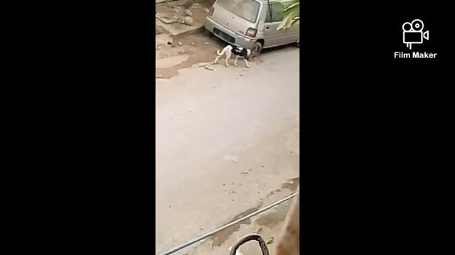 Max ki death ho gai смотреть онлайн