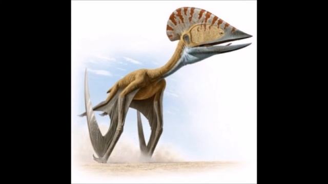 Tupuxuara смотреть онлайн