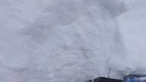 Ирбис тунгус 500 по свежему пухляку