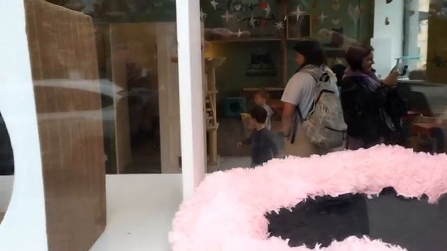 Cats cafe смотреть онлайн