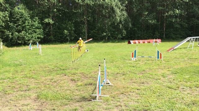 Anette Ekman & Milly, 0 fel, Agilityklass, SM för alla 2020 смотреть онлайн