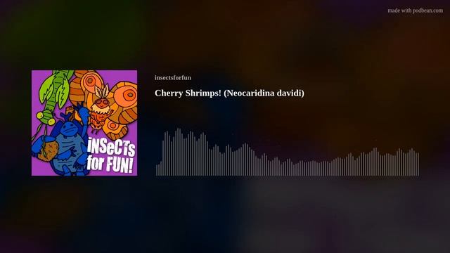 Cherry Shrimps! (Neocaridina davidi) смотреть онлайн