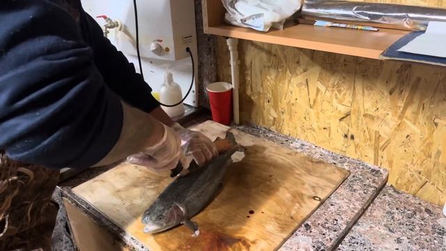 Проверяем форель с нового привоза на цвет мяса и бонусы смотреть онлайн