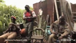 обезьяна с калашом