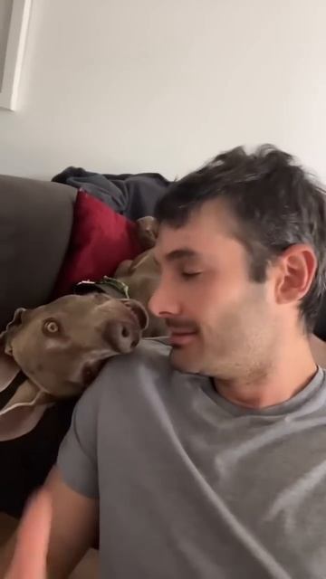 Y si Luca 🐶 es el más manipulador 🙄 смотреть онлайн